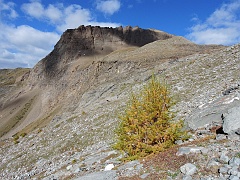 Maderhorn